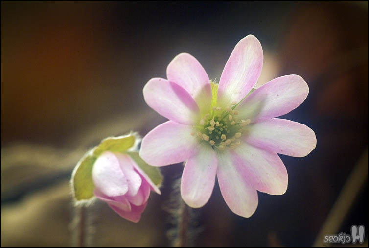 DSCF6692.jpg