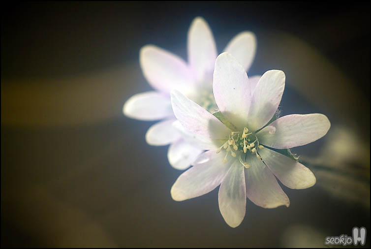 DSCF6698.jpg