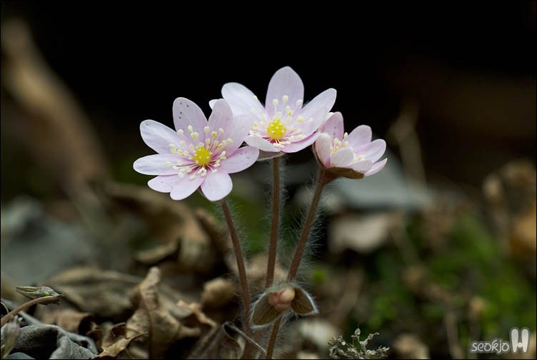 DSCF7289.jpg