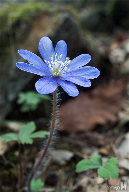 DSCF2459.jpg