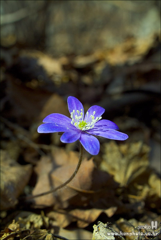DSCF5843.jpg