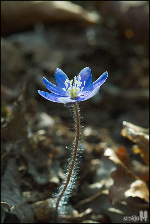 DSCF5855.jpg