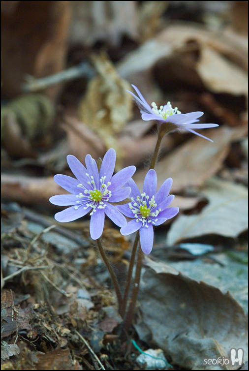 DSCF5857.jpg