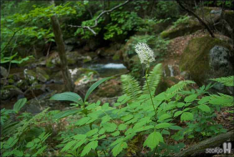 DSCF8671.jpg