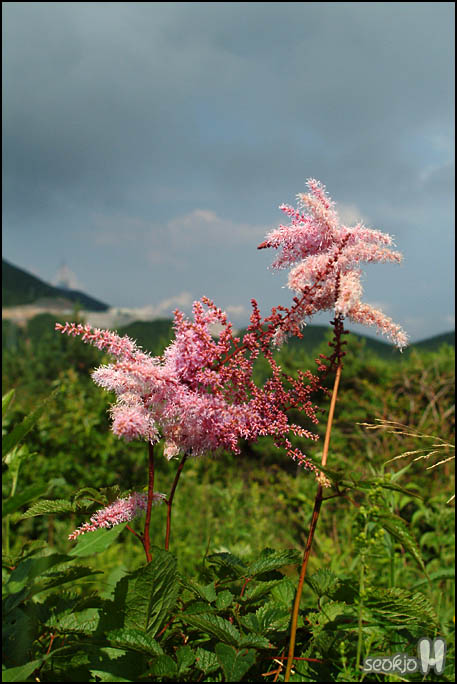 DSCF7816.jpg