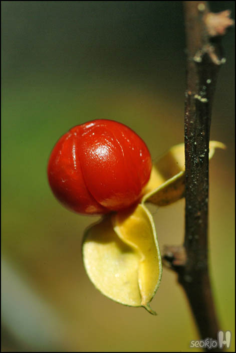 DSCF3463.jpg
