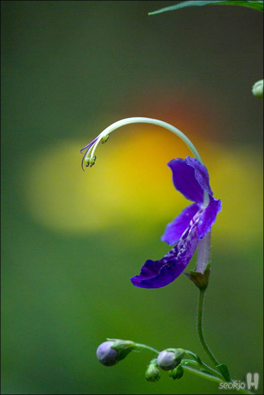 DSCF5146.jpg