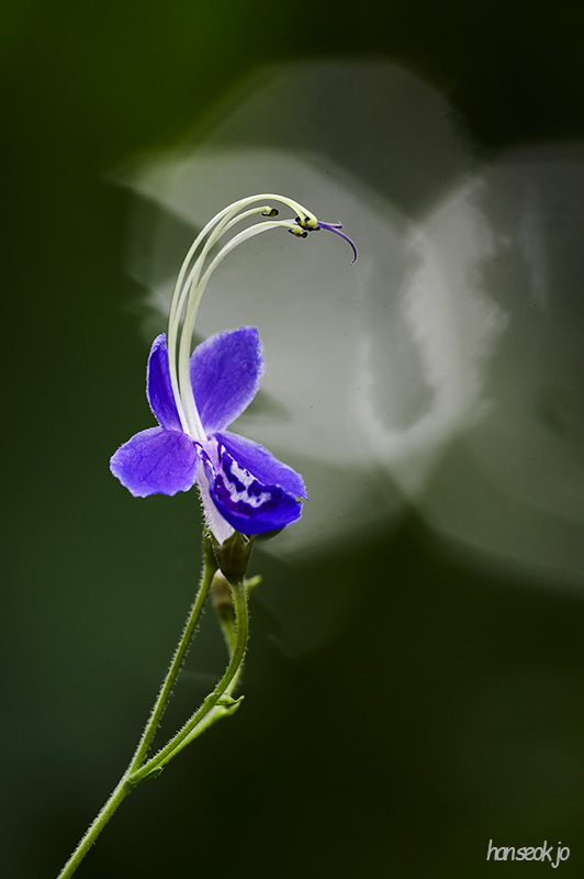 DSC_4543.jpg