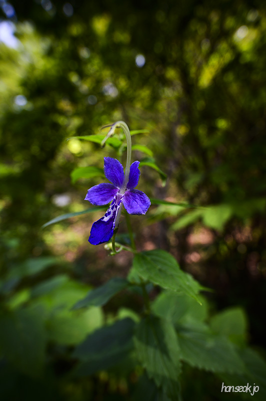 DSC_4535.jpg