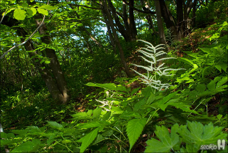 DSCF8791.jpg