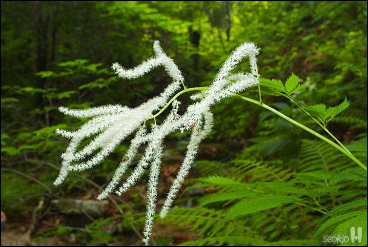 DSCF6894.jpg