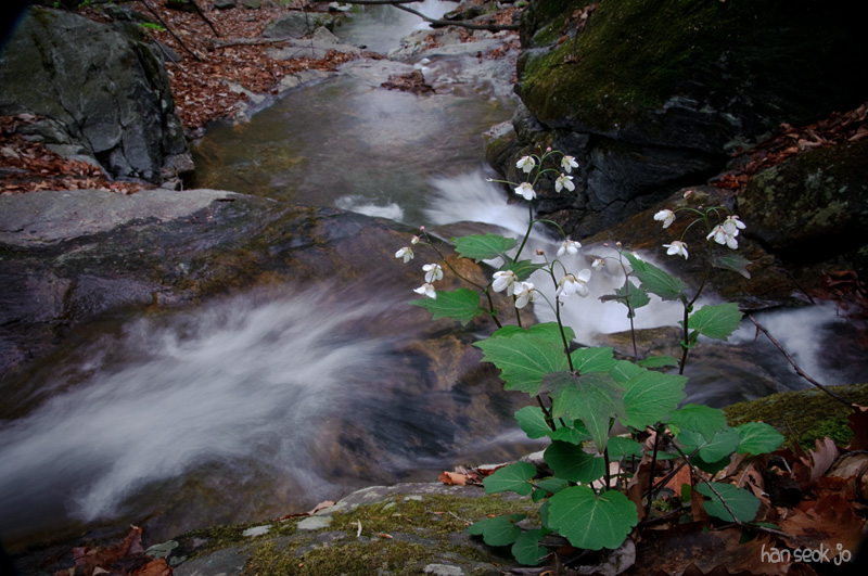 DSC_1353.jpg