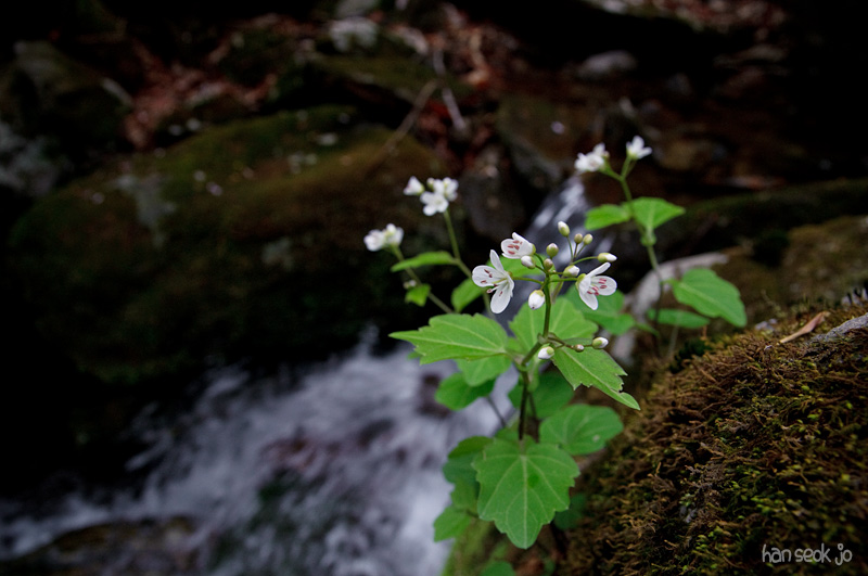 DSC_1367.jpg