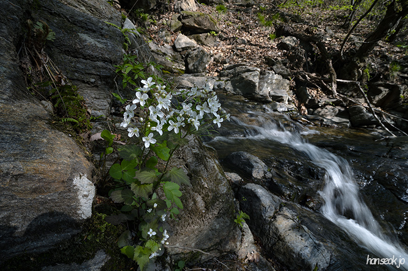 DSC_4985.jpg