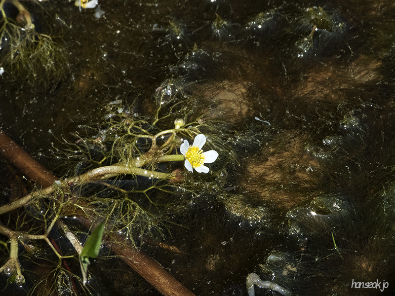 DSCN1756.jpg