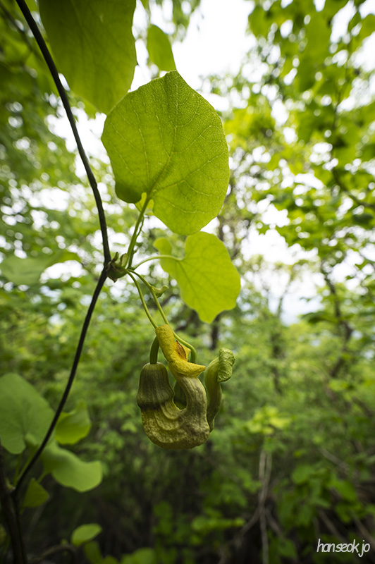 DSC_2371.jpg