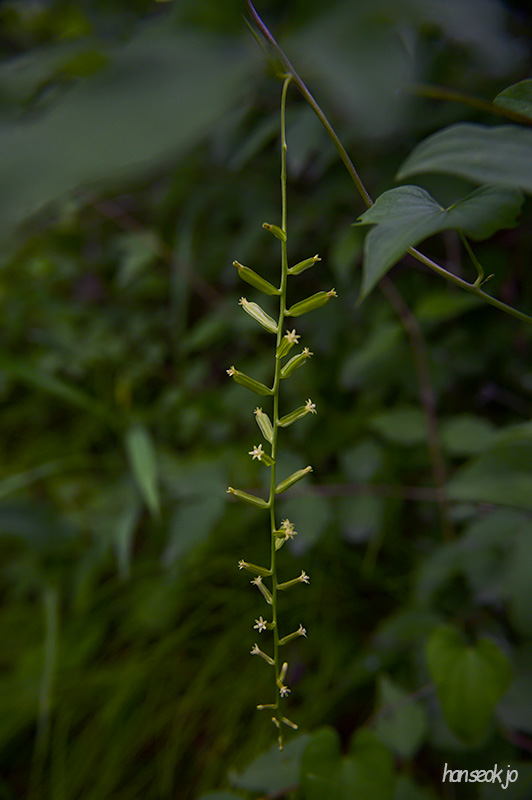 DSC_3059.jpg