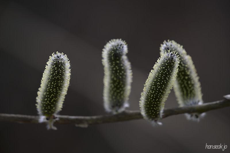 DSC_1617.jpg