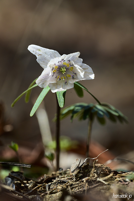 DSC_1644.jpg