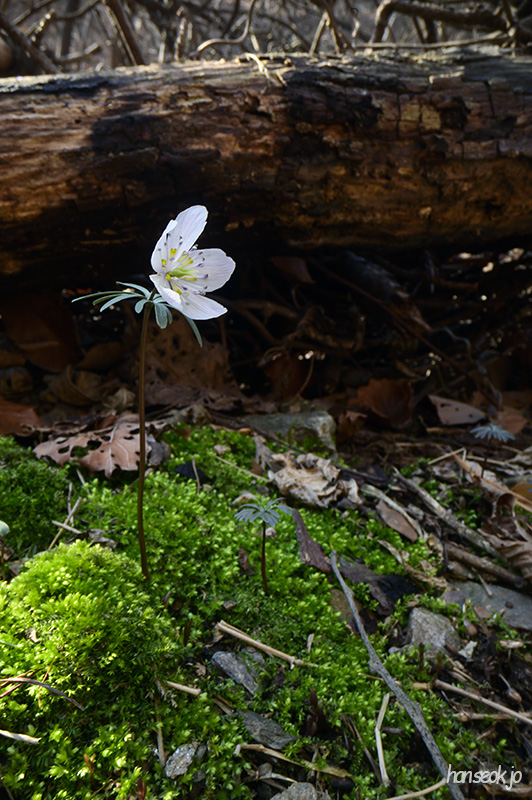 DSC_1647.jpg