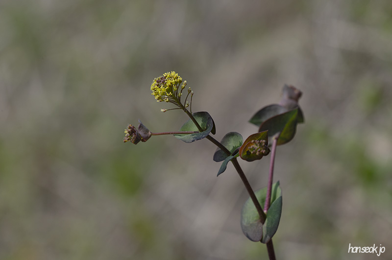 DSC_4908.jpg