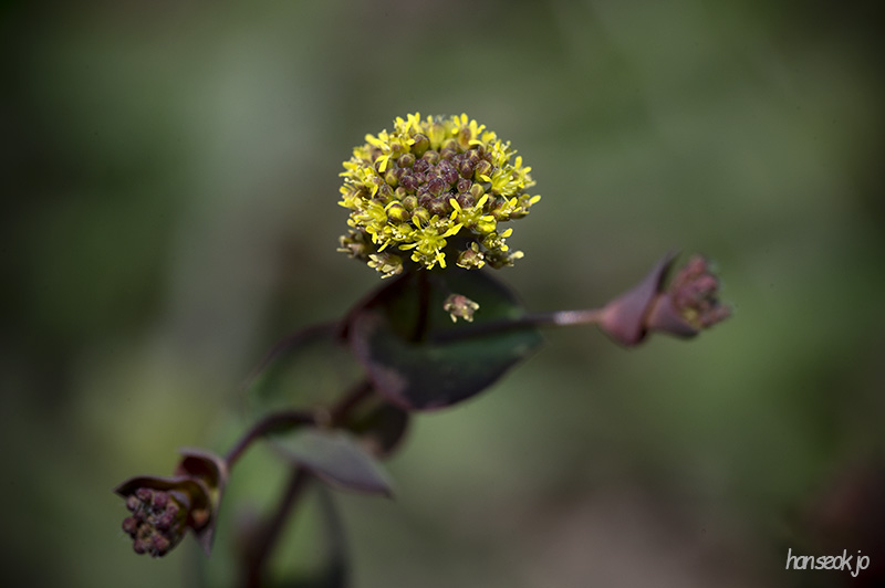 DSC_4911.jpg