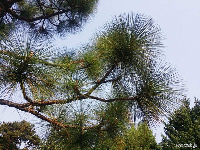 20170528_083906.jpg