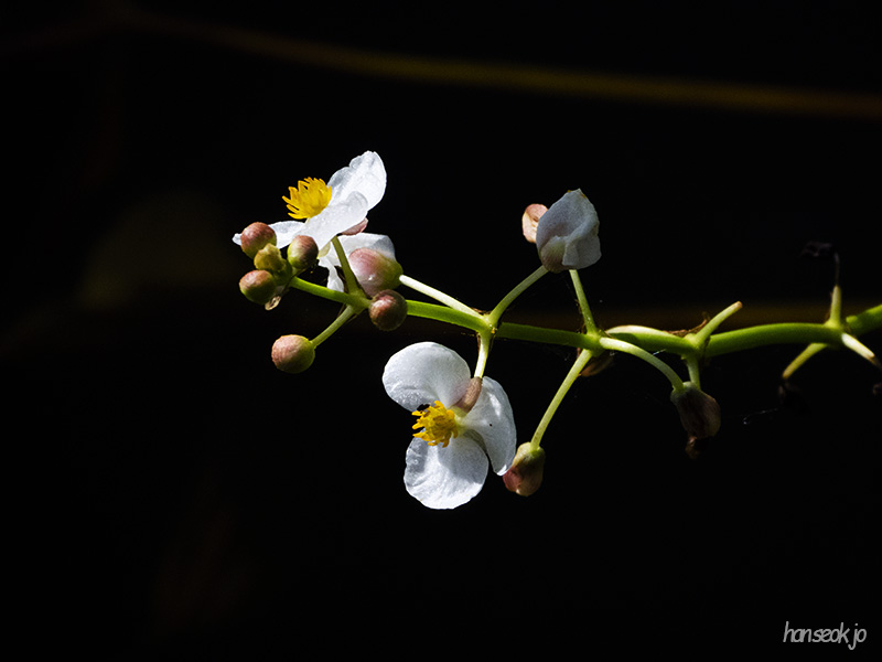 DSCN0364.jpg