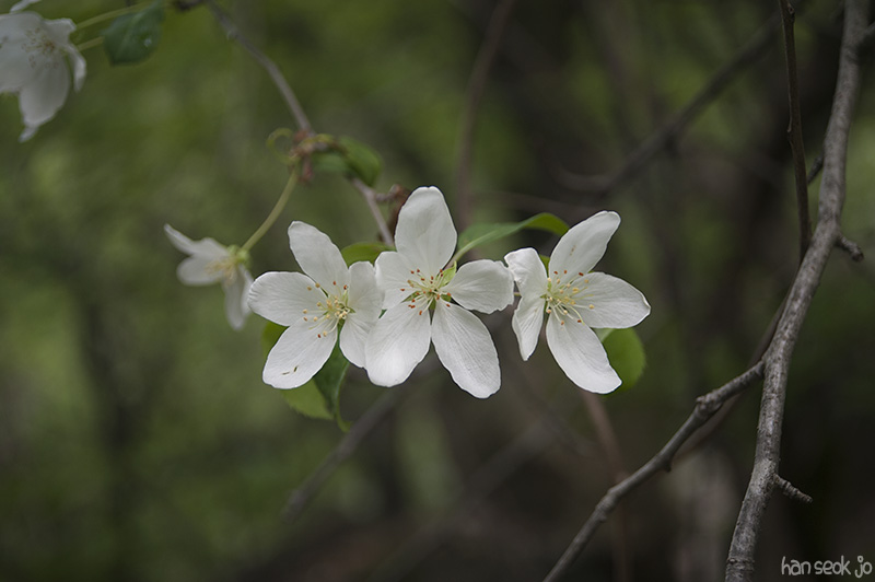HSJ_5670.jpg
