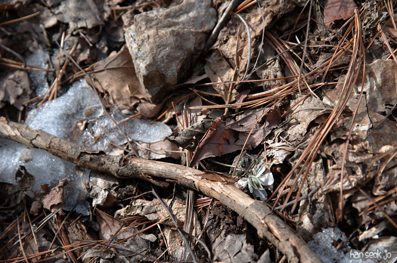 DSC_5198.jpg