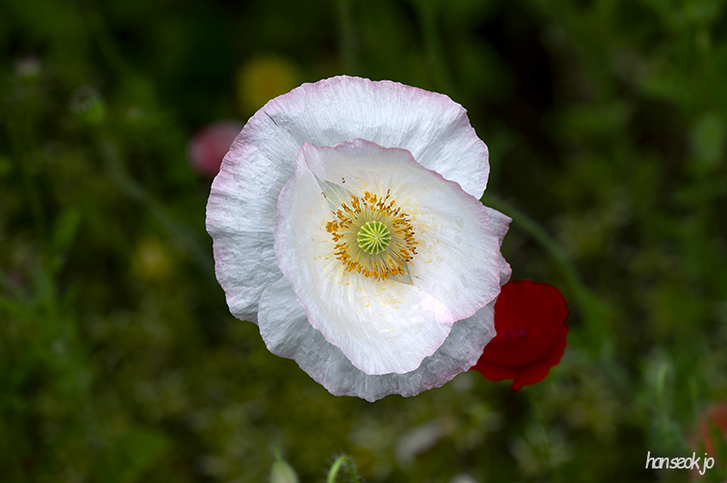 DSC_5201.jpg