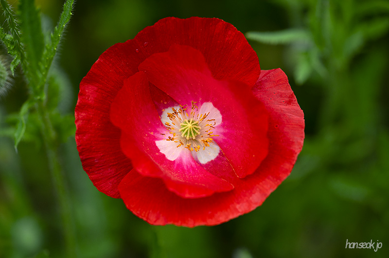 DSC_5204.jpg