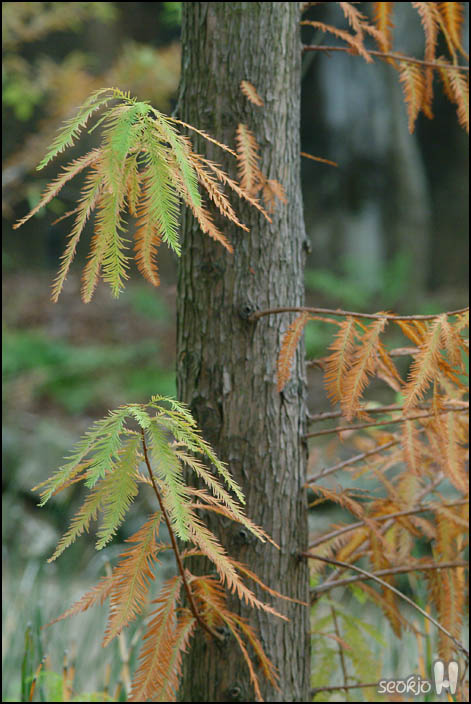 DSCF3580.jpg