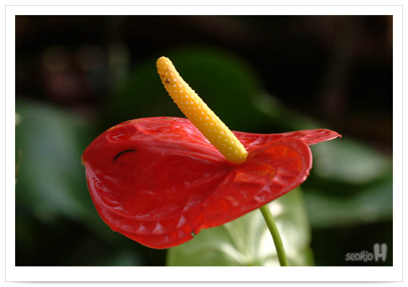 DSCF5335.jpg