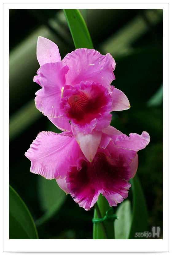 DSCF5531.jpg