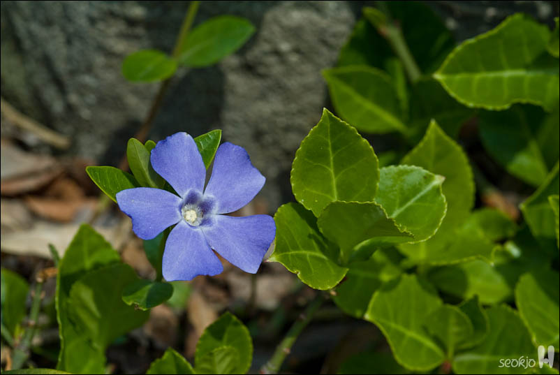 DSCF7251.jpg