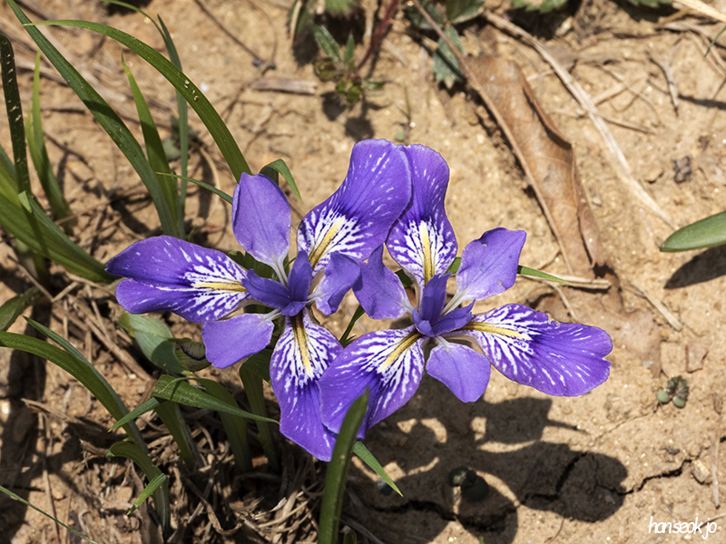 DSCN1608.jpg