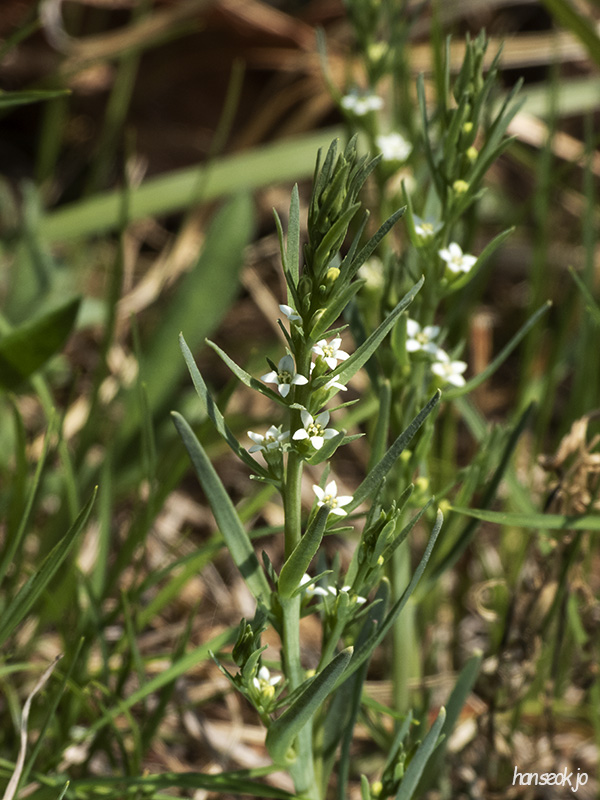 DSCN1605.jpg