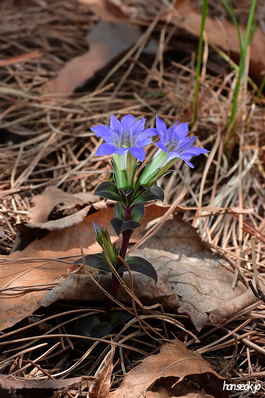DSCN1600.jpg