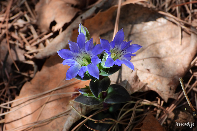 DSCN1602.jpg