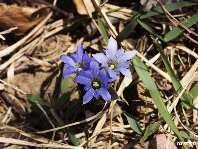 DSCN1603.jpg