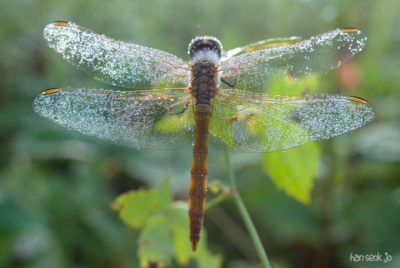 DSCF8216.jpg