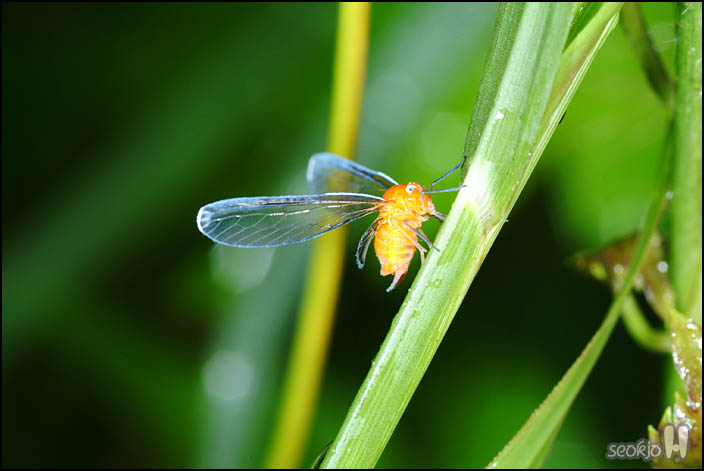 DSCF1852.jpg