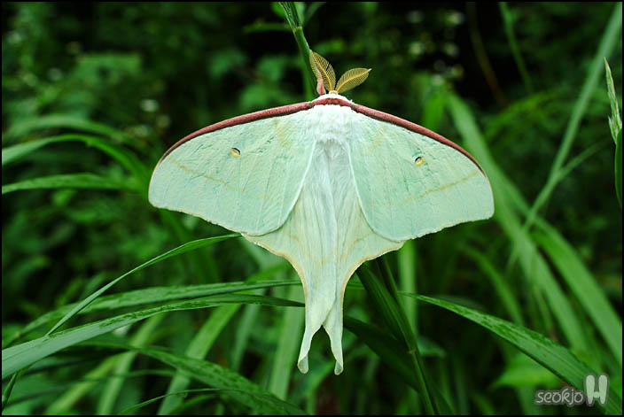 DSCF7961.jpg