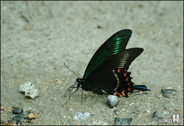 DSCF7992.jpg