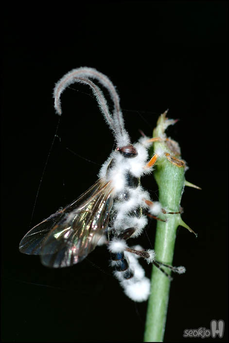 DSCF7540.jpg