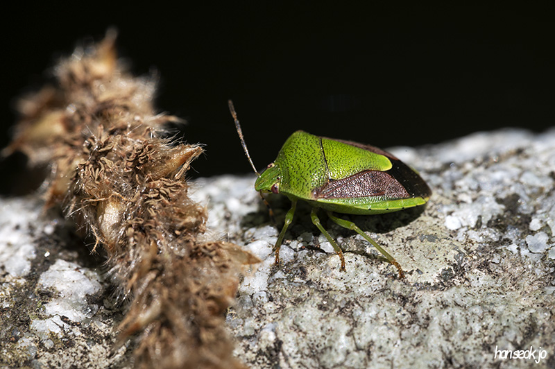 DSC_2312.jpg