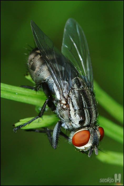 DSCF8643.jpg