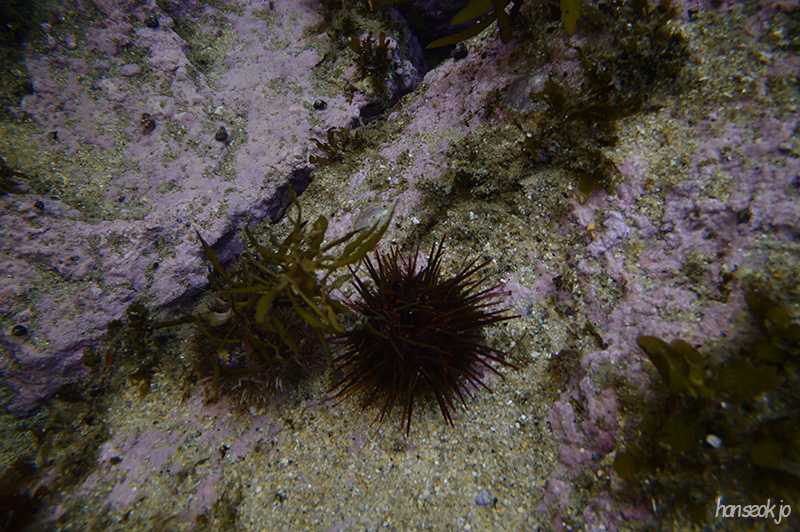 DSC_1013.jpg