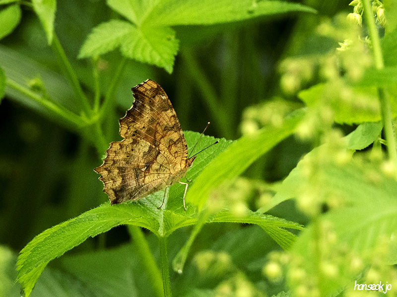 DSCN1232.jpg